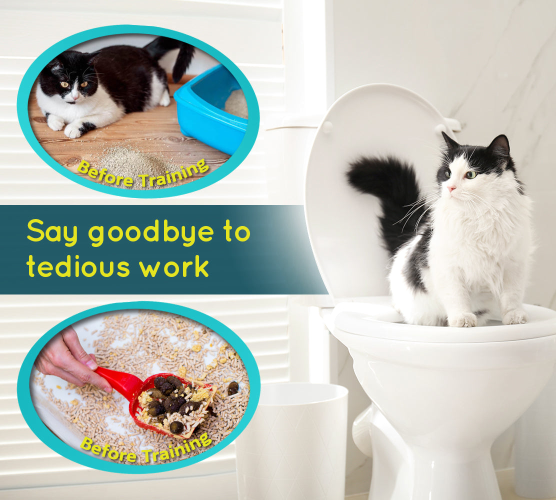 Cat toilet litter training clearance kit